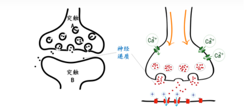 快速学会一个技能的方法与思路（上）-2.png